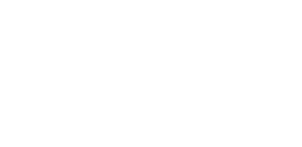 footer-bg logo