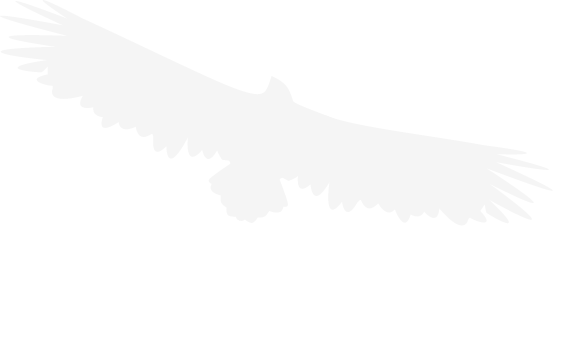 junior-logo logo