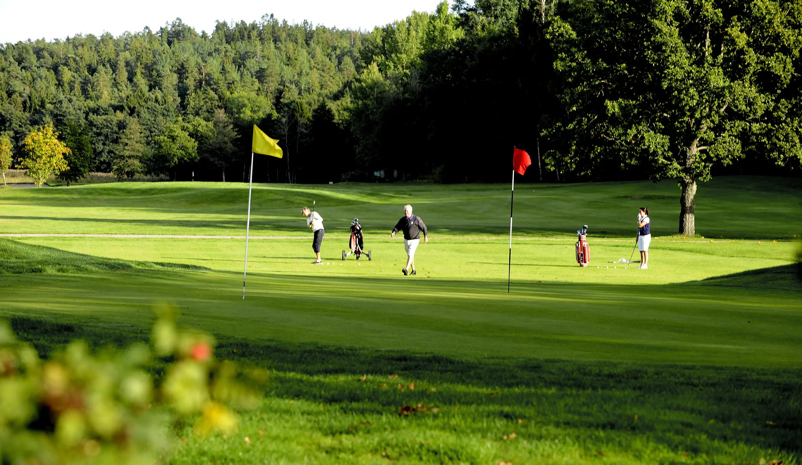 TROSA Golfklubb *** Local Caption *** TROSA Golfklubb