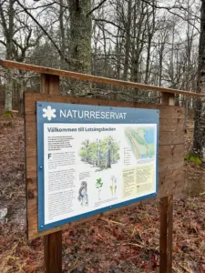 Lotsängsbacken runt - Naturreservat